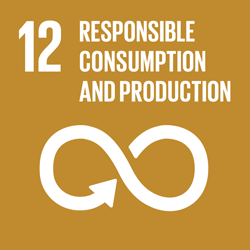 SDG 12 Responsible Consumption and Production