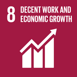 SDG 8 Decent Work and Economic Growth